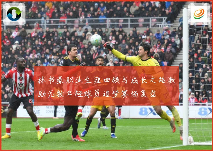 林书豪职业生涯回顾与成长之路激励无数年轻球员追梦赛场复盘