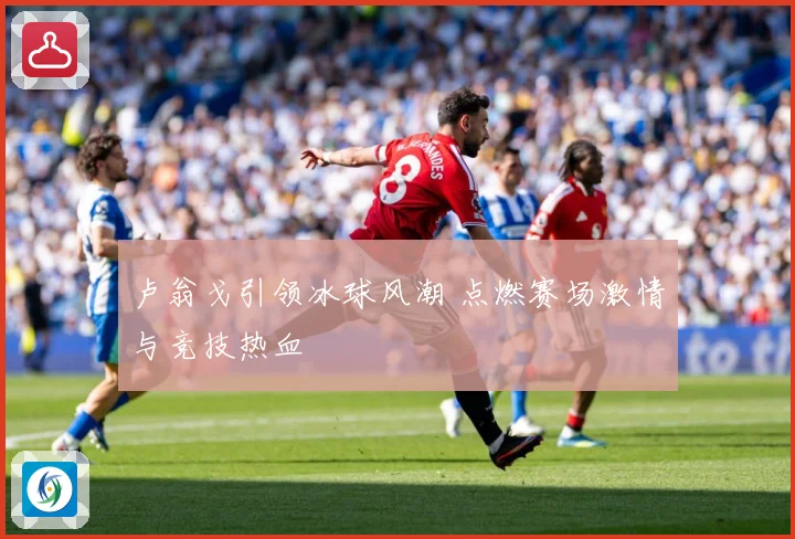 卢翁戈引领冰球风潮 点燃赛场激情与竞技热血