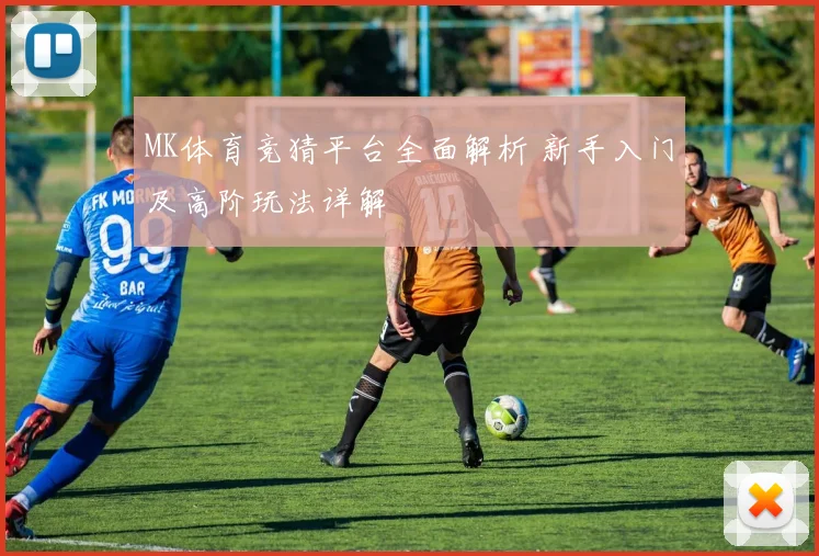 MK体育竞猜平台全面解析 新手入门及高阶玩法详解
