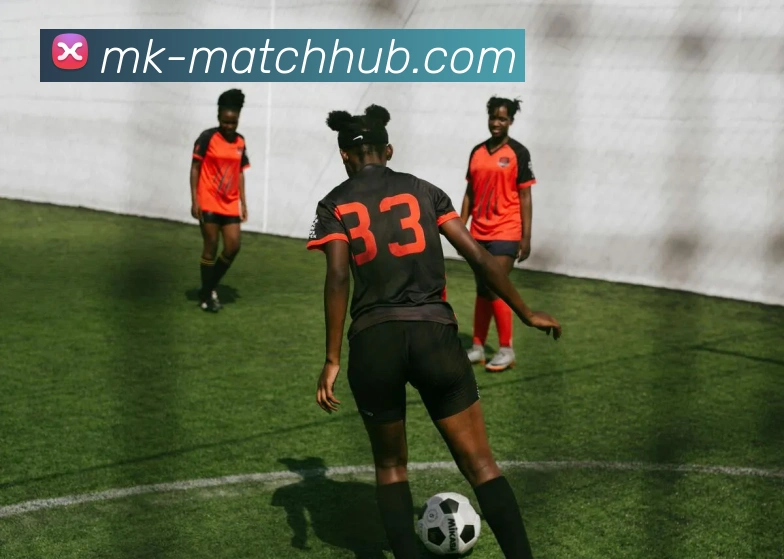 MK体育平台展示图